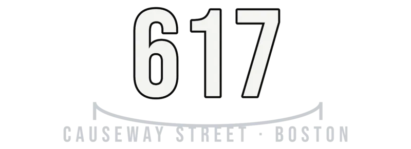 Boston 617 Causeway Street Basketball — original artwork