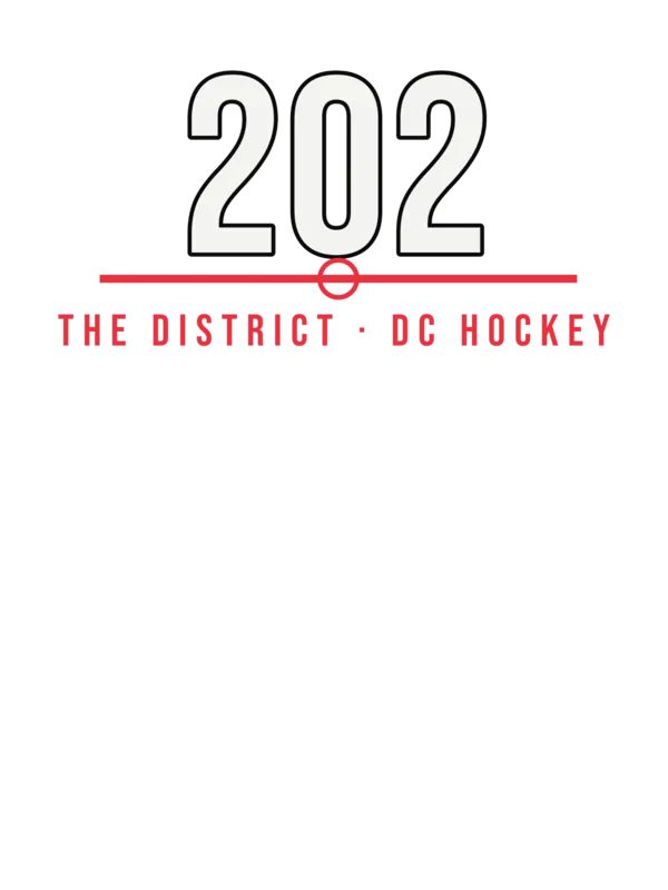 Washington DC 202 District Hockey — original artwork
