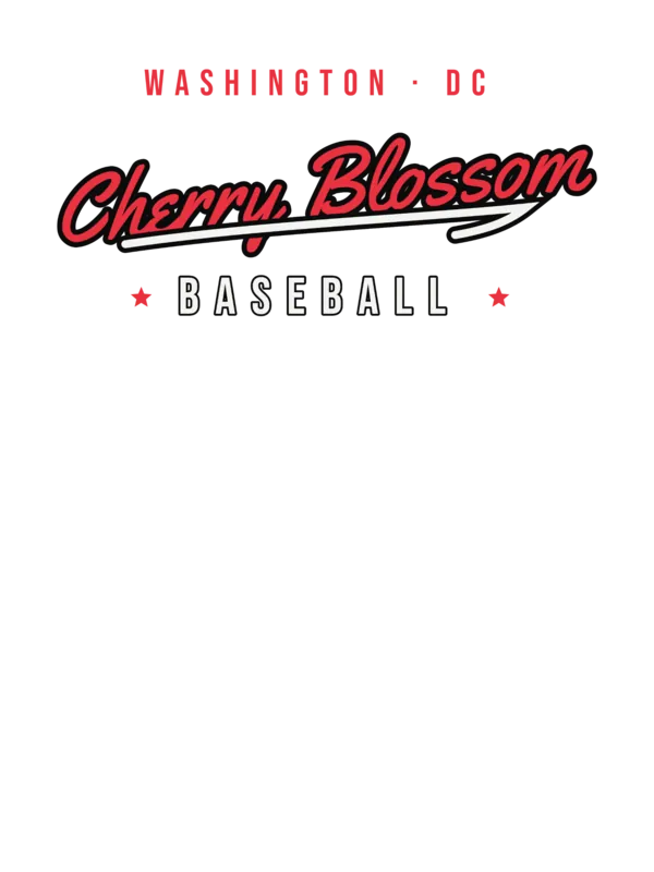 Washington DC Cherry Blossom Baseball — original artwork