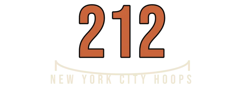 NYC 212 Basketball — original artwork