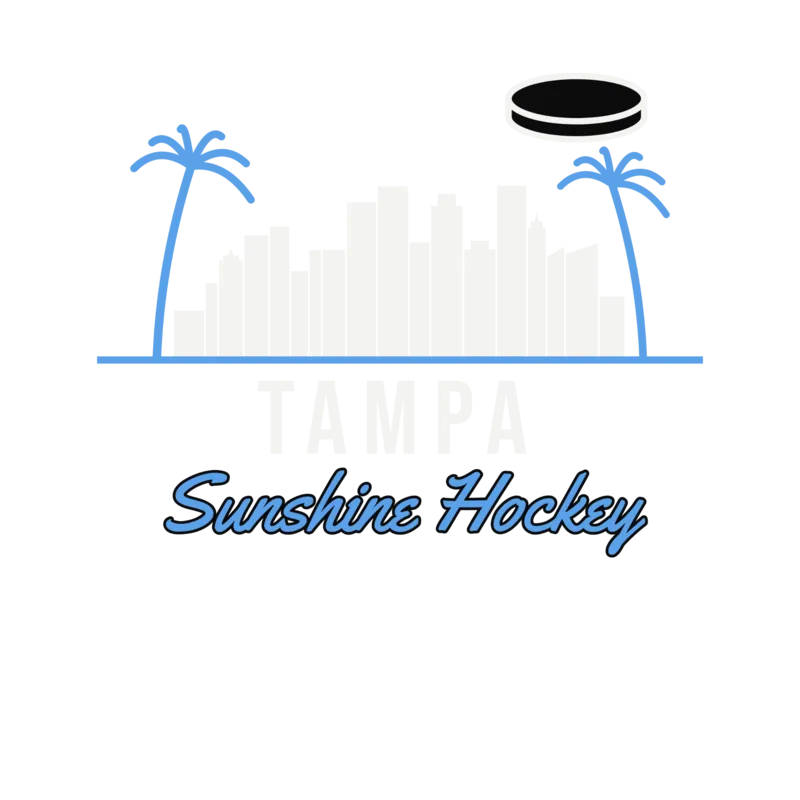 Tampa Sunshine Palms Skyline Hockey — original artwork